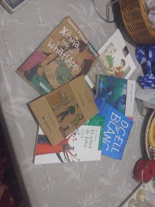 1er eso libros de instituto BISBE BERENGUER