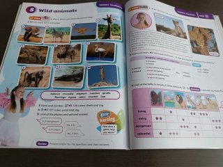 Open Up 5 Course Book (Spain)