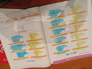 Lengua Castellana, 6 Primaria, Mochila ligera, ...
