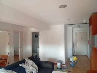 Servicios de Pintura Profesional