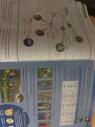 CIENCIAS DE LA NATURALEZA 3 (COMUNIDAD ZOOM)