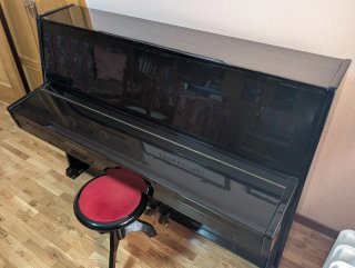 Piano Schönberg Negro