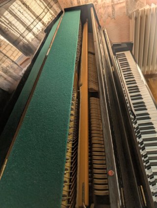 Piano Schönberg Negro