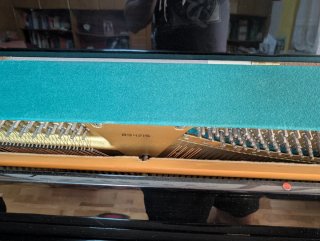 Piano Schönberg Negro