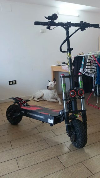 Solo mañana! A este precio por mudanza