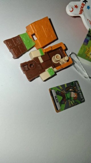 Alex Kinder Minecraft