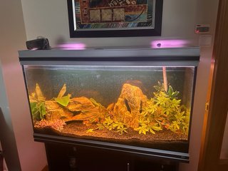 Acuario 200L Acero y Wengué