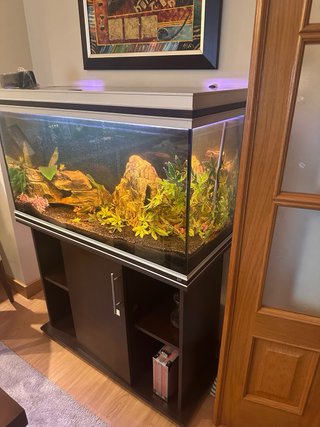 Acuario 200L Acero y Wengué
