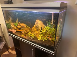 Acuario 200L Acero y Wengué