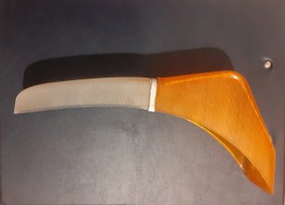 Tulipa Piloto Delantero Pegaso