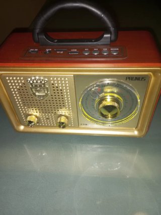 Radio Portátil Prunus J-110