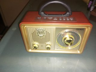 Radio Portátil Prunus J-110