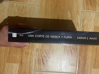 Una corte de niebla y furia