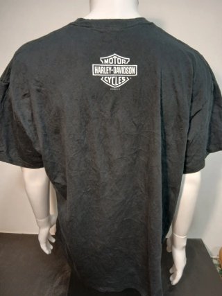 Camiseta Harley-Davidson Live Wire Negra