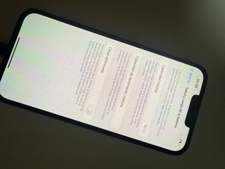 iPhone 13 Pro Max Azul/Plateado