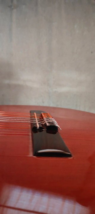 Guitarra Valeriano Bernal Gitano Ed. Especial 50