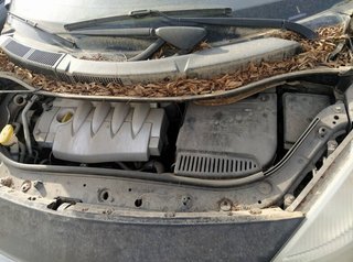 1580100 motor arranque renault scenic ii 1.6