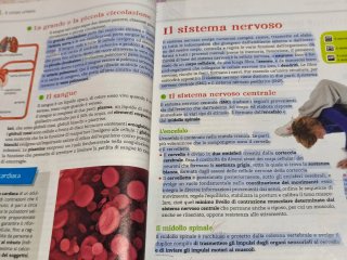 Sport book corpo in movimento