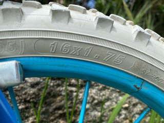 Bicicleta Frozen 16 Azul