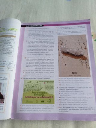 Lengua castellana y literatura 2 Bachillerato A...