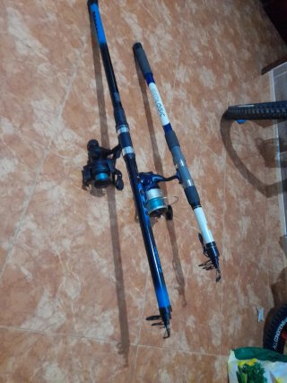 2 canne da pesca con mulinelli