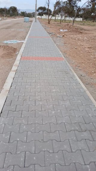 Colocación de Baldosas
