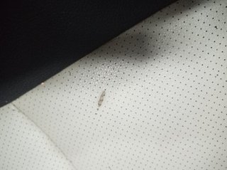 ASIENTO DELANTERO DERECHO MERCEDES-BENZ CLASE CLC