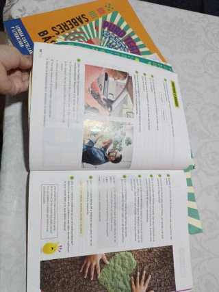 Lengua castellana y literatura 3 Saberes básico...