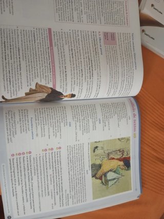 Lengua castellana y literatura II. Libro del es...