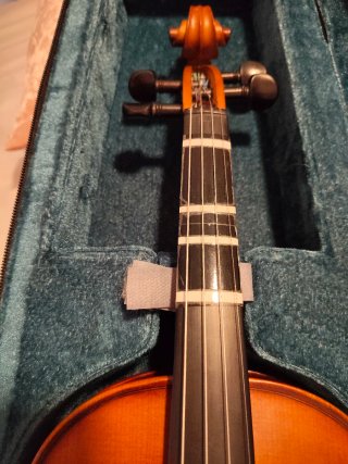 Violín 4/4 con estuche