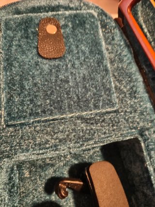 Violín 4/4 con estuche