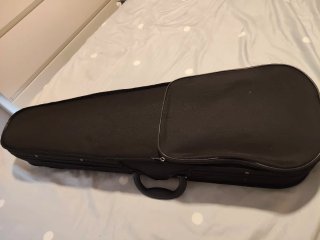 Violín 4/4 con estuche