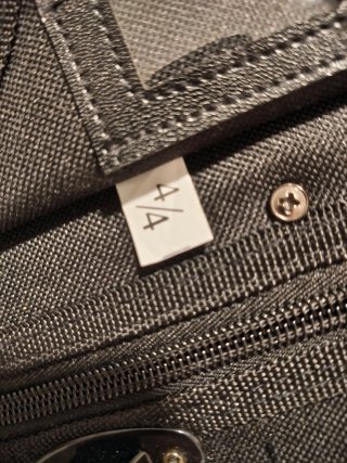 Violín 4/4 con estuche
