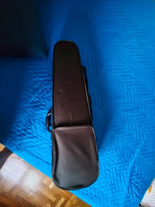 Violín 4/4 con estuche