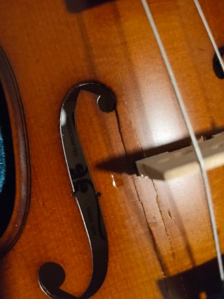 Violín 4/4 con estuche
