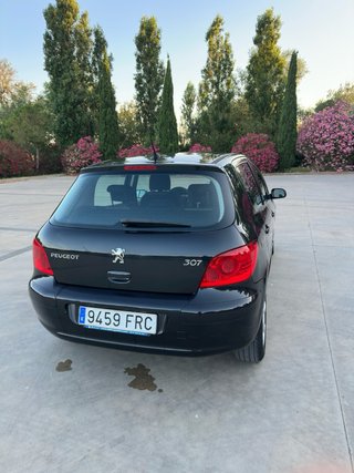 Peugeot 307 2007