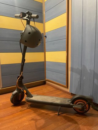 Patinete Eléctrico Xiaomi