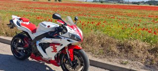 Yamaha R1 2004