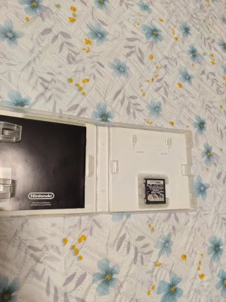 Pokemon Edizione Platino DS