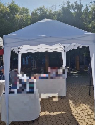 Carpa 2x3 Blanca
