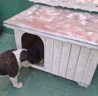 Casa para perro de madera beige y marrón