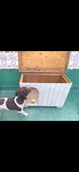 Casa para perro de madera beige y marrón