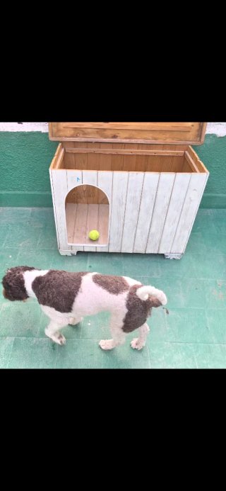 Casa para perro de madera beige y marrón