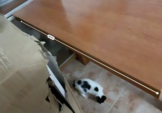 Mesa Comedor Cristal y Madera + 6 Sillas