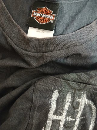Camiseta Harley-Davidson Florida