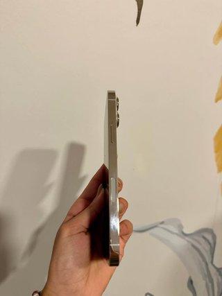iPhone 13 Pro Max Blanco 256GB