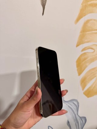 iPhone 13 Pro Max Blanco 256GB