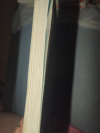Lengua castellana, 4 ESO, Programa Carmen de Bu...