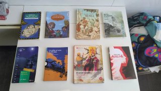 Lote 8 libros de lectura de Instituto