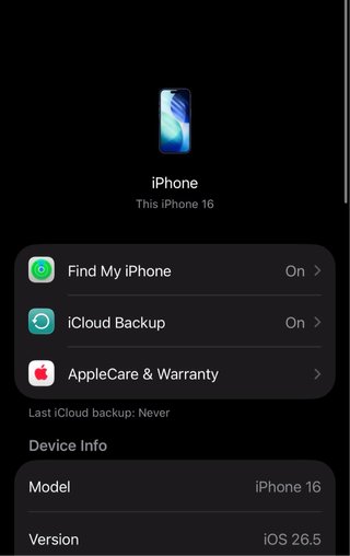 iPhone 16